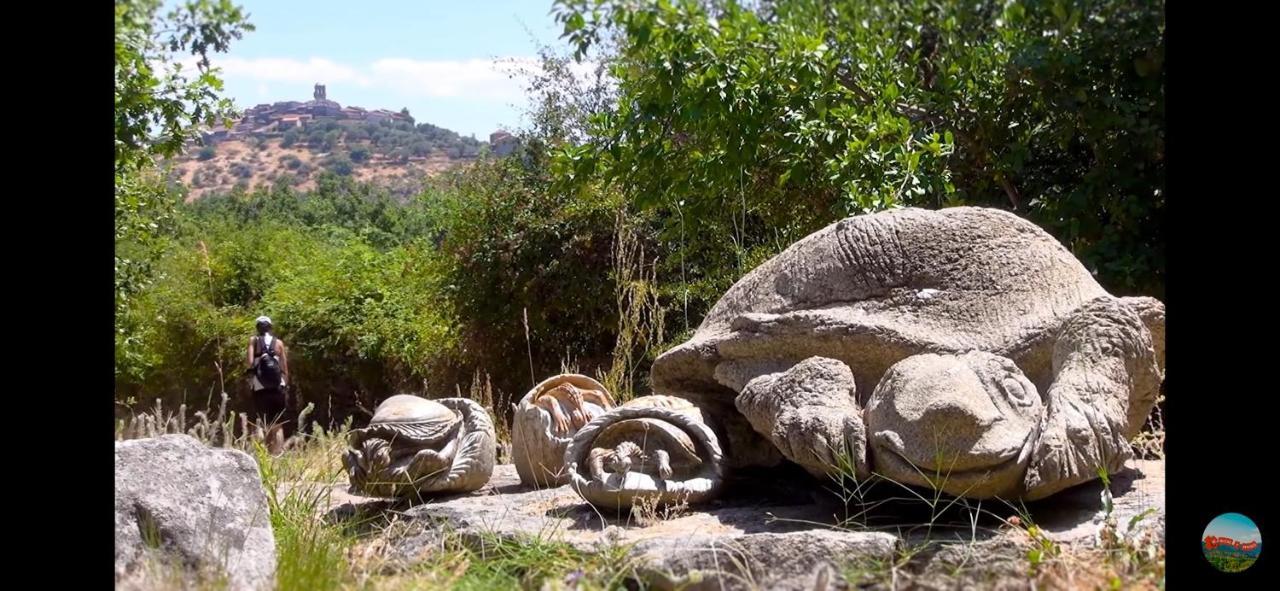 Casa Rural La Villa Miranda del Castanar Ngoại thất bức ảnh